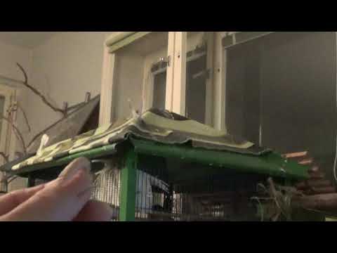 Kleine Kennlernrunde  😉