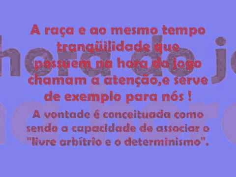 Final Jebh 2008 Infanto - Motivação