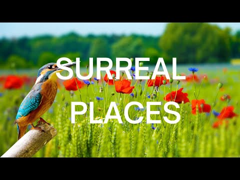 25 Most surreal places on earth - Travel video