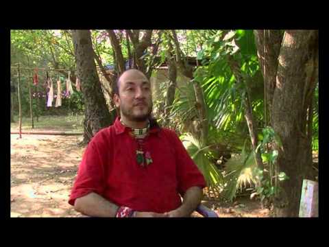 GUARDIANS OF THE RAINFOREST-Herbert Quinteros