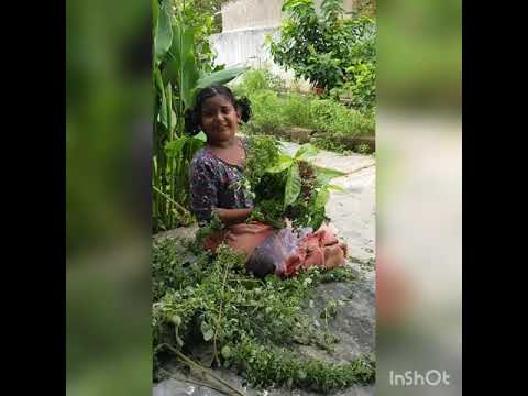 How to make a bouquet with plants and flowers.