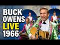Buck Owens And The Buckaroos Under The Influence Of Love live 1966