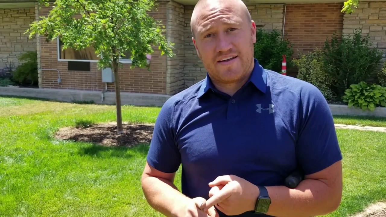 Why is my Tutankhamun grass turning yellow? Archive EN