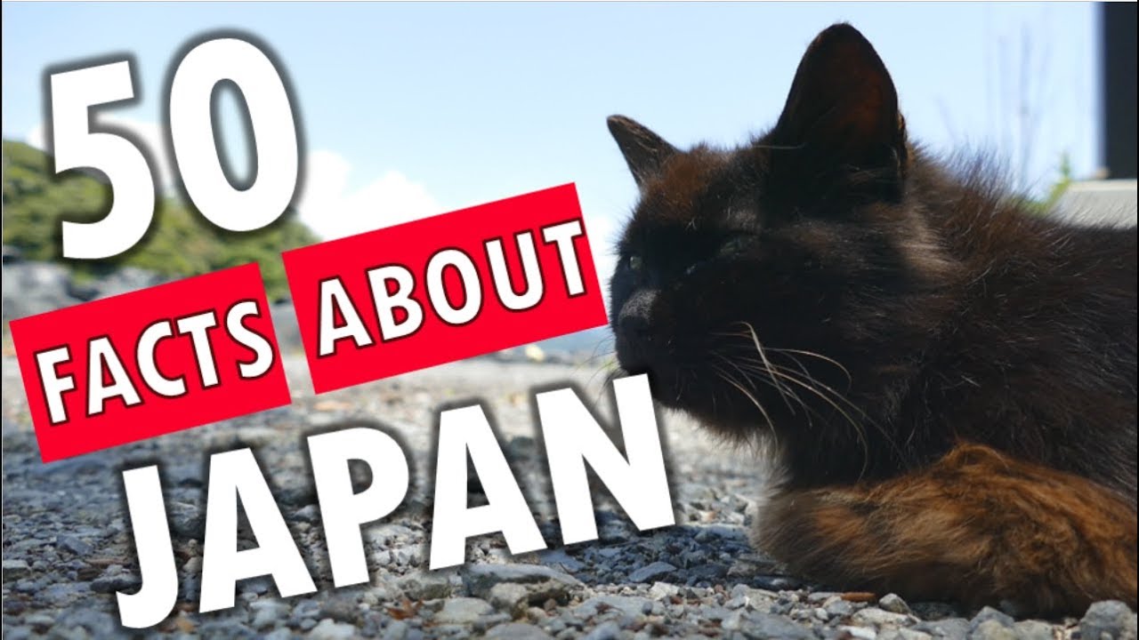 50 Facts About Japan