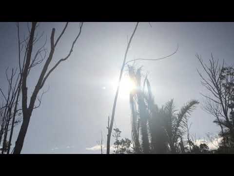 Mc Teteu Mc anônimo e Pop Na Batida - Faz A Pose, Olha O Flesh / Coreografia