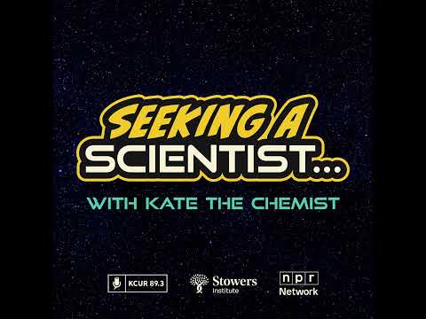 SEEKING A SCIENTIST | Plants may be more intelligent than we think