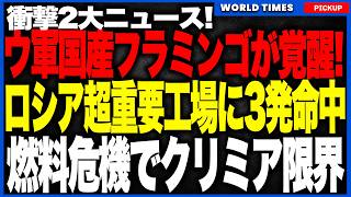 【衝撃】ロシア軍需産業の心臓部に壊滅的打撃！ウクライナ国産ミサイル「フラミンゴ」がイスカンデルとヤルス発射装置を作る中核工場「チタン・バリカディ」をピンポイント空爆！燃料危機がモスクワ直撃！