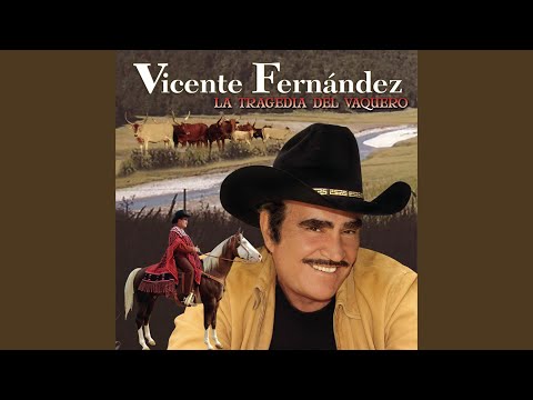 Qué Chulada De Mujer - Vicente Fernandez