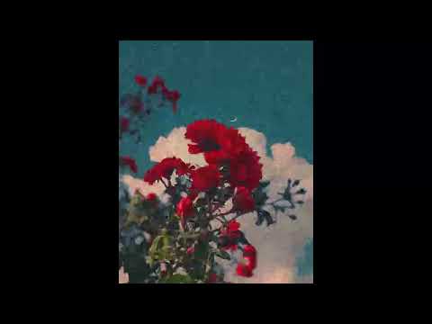 🔅 "MA VIDA" J9ueve x Wejdene Type Beat | Melodic Dancehall Type Beat (Prod. Nael Céleste)