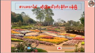 ပန်းခြံ=สวนดอกไม้ 