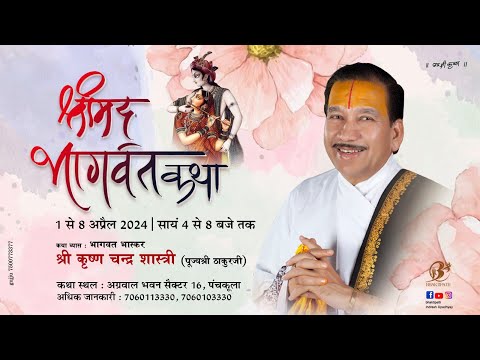 Day 7|| Shrimad Bhagwat Katha Live || Pujya Shri Thakur Ji || Panchkula || 2024