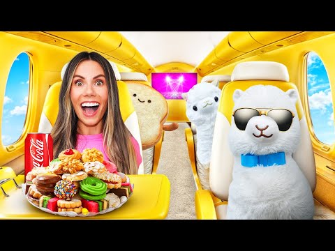 I Took My LLAMAS on a PRIVATE JET! *SURPRISE*