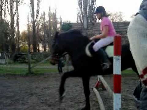 2010.11.04.- JumpTraining-Linci és Csinos