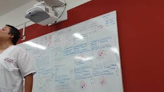 Fisiología cardiovascular 5 Dr Avendaño