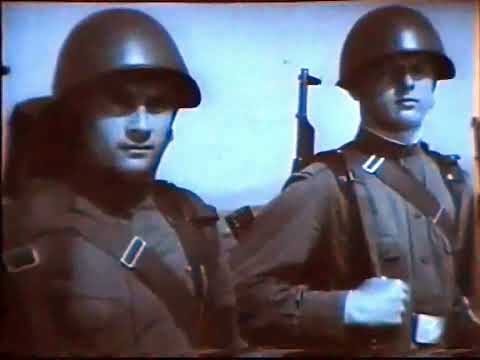 Действия солдата в бою. 1 и 2 разделы. Учебный фильм МО СССР 1969 г.