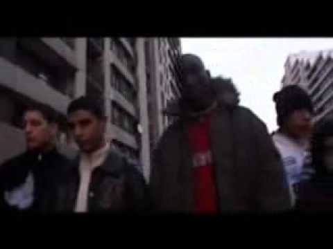 clip LIM associes a vie