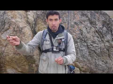 Berkley Gulp! Sandworm VS  Live Pile Worm   Which Will Catch More Fish ★ Bass fishing