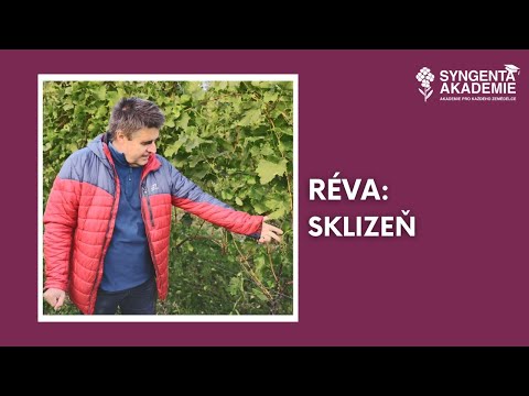 , title : 'Akademie Syngenta réva 9.díl - Sklizeň hroznů | Syngenta Česká republika'