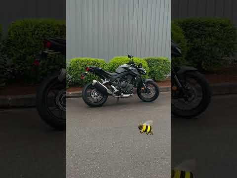 Introducing.. the all new 2025 Honda CB 750 HORNET 🐝