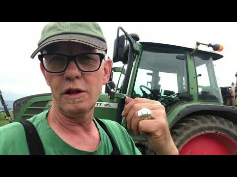 Mais gegen Unkraut spritzen