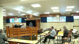 וְחׇכְמַ֤ת הַמִּסְכֵּן֙ בְּזוּיָ֔ה וּדְבָרָ֖יו אֵינָ֥ם נִשְׁמָעִֽים – שיעור 85 – ספר במדבר