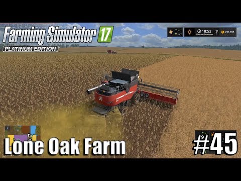 CANOLA HARVEST | Lone Oak Farm | Timelapse #45 | Farming Simulator 17