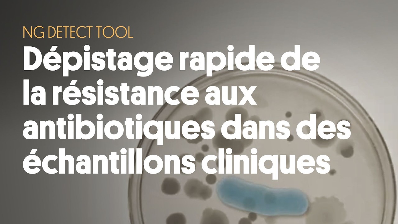Dépistage rapide de la résistance aux antibiotiques dans des échantillons cliniques | NG Detect Tool