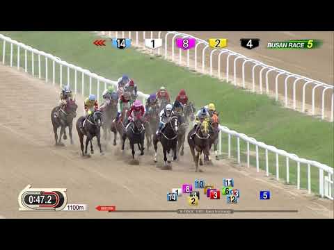 [ENG] 2019 Busan Mayor's Cup (GII)