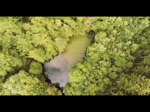 Die Eifel von oben 2.0 / Parrot Anafi