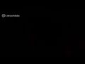 Bella Bellz Live Stream