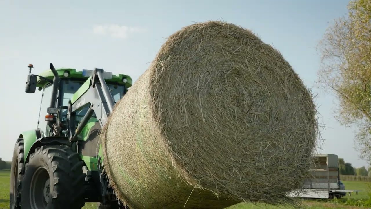 Blackbull Bálatüske felhajtható tüskékkel - Raktárról elvihető