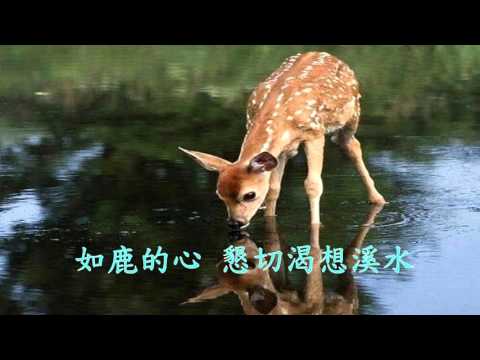 鹿的造詞