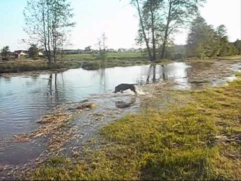 Amber zabawa w wodzie :)