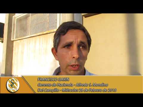 28-02-18 Nota Francisco Garín - Remate T.V. Alfredo S. Mondino - Del Campillo