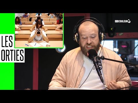 Les Orties - Les Examens