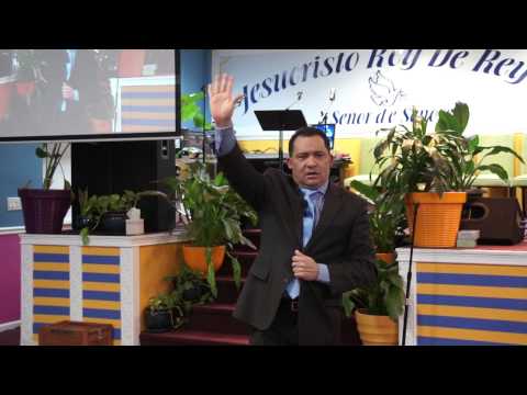 download lagu mp3 mp4 Solo Di La Palabra Y Mi Criado Sanara, download lagu Solo Di La Palabra Y Mi Criado Sanara gratis, unduh video klip Download Solo Di La Palabra Y Mi Criado Sanara Mp3 dan Mp4 Unlimited Gratis