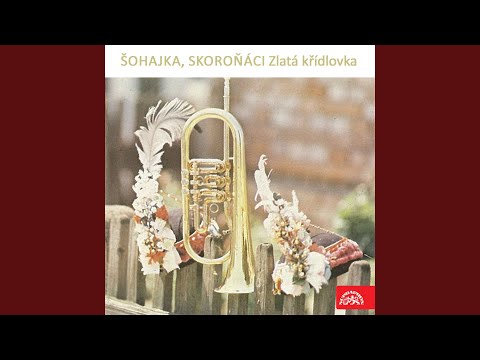 Bojanovský verbuňk