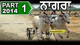 Part 1 Nagra (Ludhiana) Ox Race 11 May 2014 By Kabaddi365.com