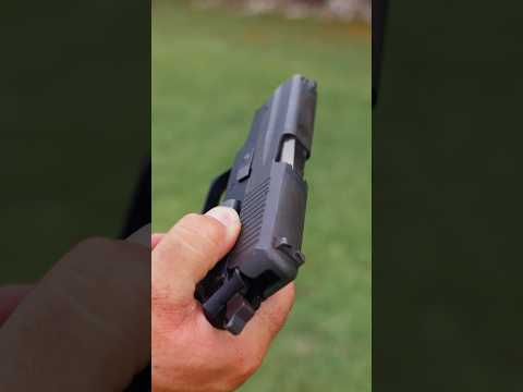 Sig Sauer P6