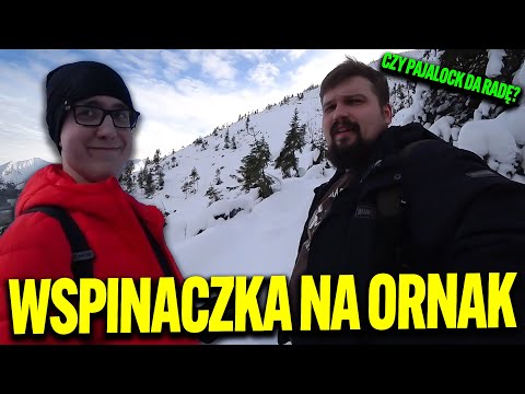 SUCHAR WIELKA WSPINACZKA NA ORNAK CZY UDAŁO SIE ZDOBYĆ SZCZYT?
