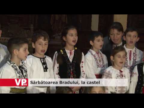 Sărbătoarea Bradului, la castel