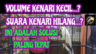Download lagu CARA AMPUH MENAIKKAN VOLUME KENARI HABIS RONTOK mp3