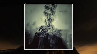 The Woman In My Vision