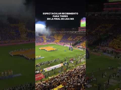 "TIGRES RECIBE ESPECTACULAR RECIBIMIENTO EN LA FINAL DE LIGA MX" Barra: Libres y Lokos &bull; Club: Tigres
