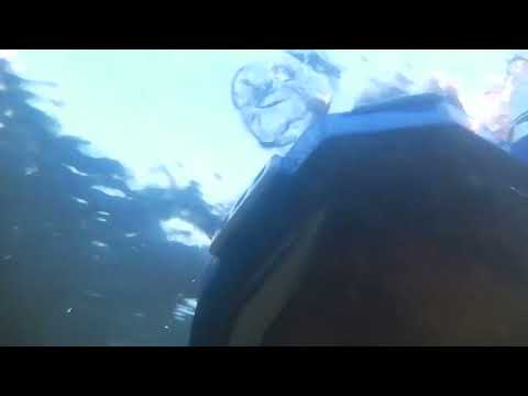 Tor H med SANYO xacti VIDEOKAMERA - 1 - Skörjesjön - Backaryd - 2024-08-11 - RONNEBY - SANY0062