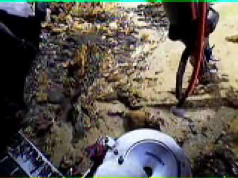 SS Republic Gold Coin recovery