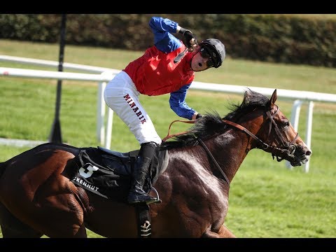 Baden Baden: Wackenhut Mercedes Benz Preis Zukunftsrennen (Gr.III) - Sieger: Alson