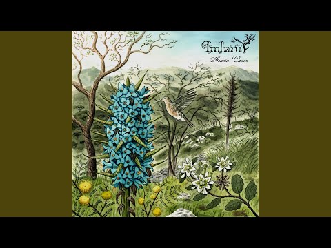 Acacia Caven I Fragilidad