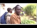 BANGI LAZIMA TUTAPANDA!HILARIOUS MAN SHOCKS AS POLICE AS HE VOWS TO CONTINUE PLANTING BHANG IN NAKS!