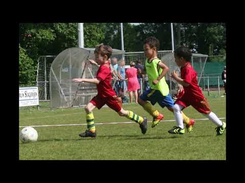 vv Brederodes Reigertjes BZS toernooi